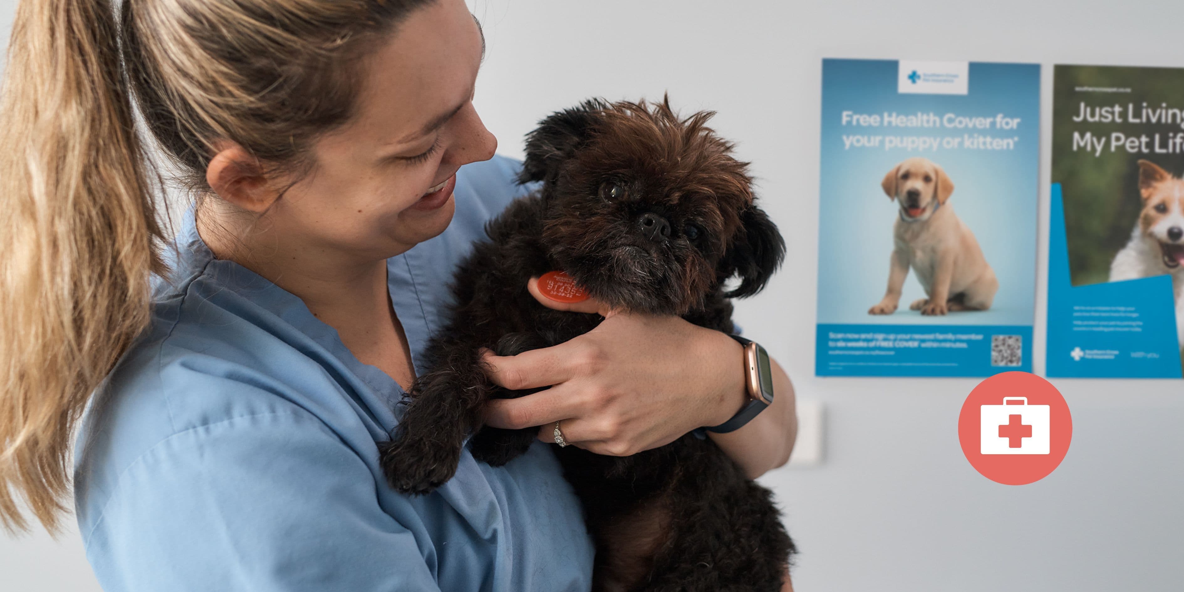 Safe Beds For Pets - Vet Care