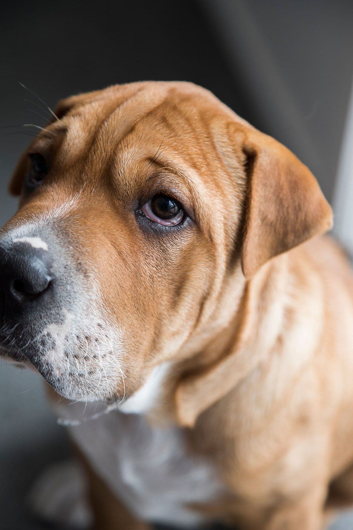 Donate Monthly image